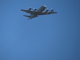 AP-3C Orion AP-3C Orion
