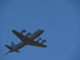 AP-3C Orion AP-3C Orion